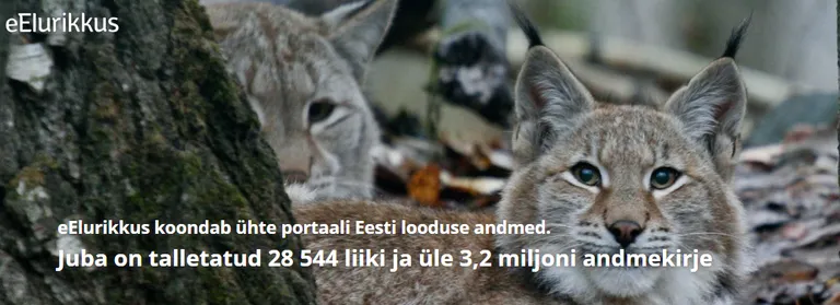 Andmebaasi eElurikkus koduleht