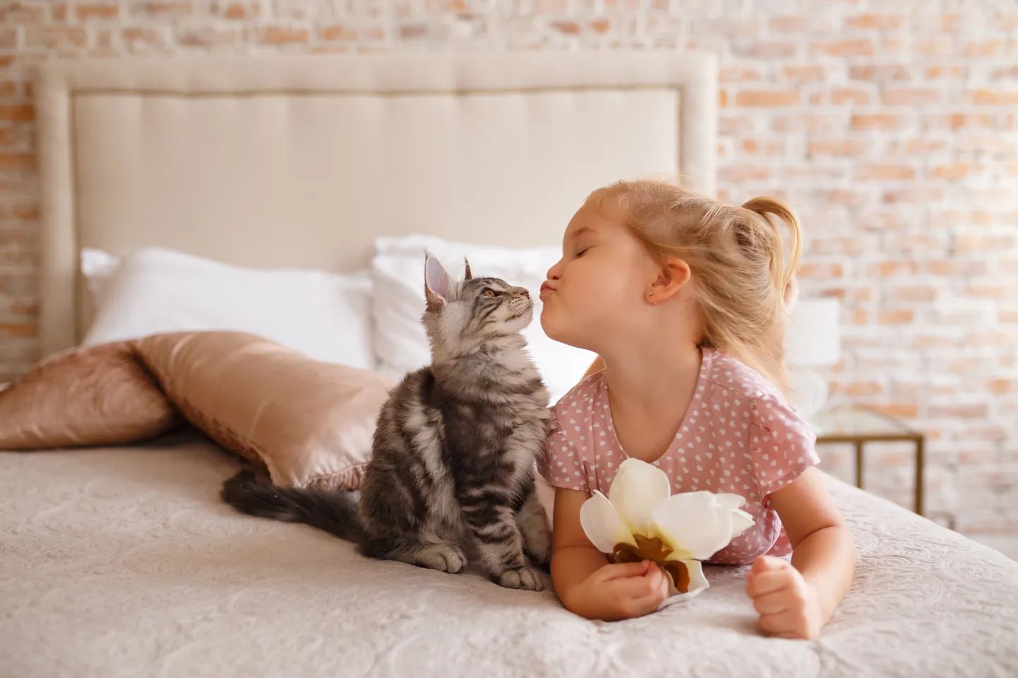Кот и девочка. Иллюстративное фото