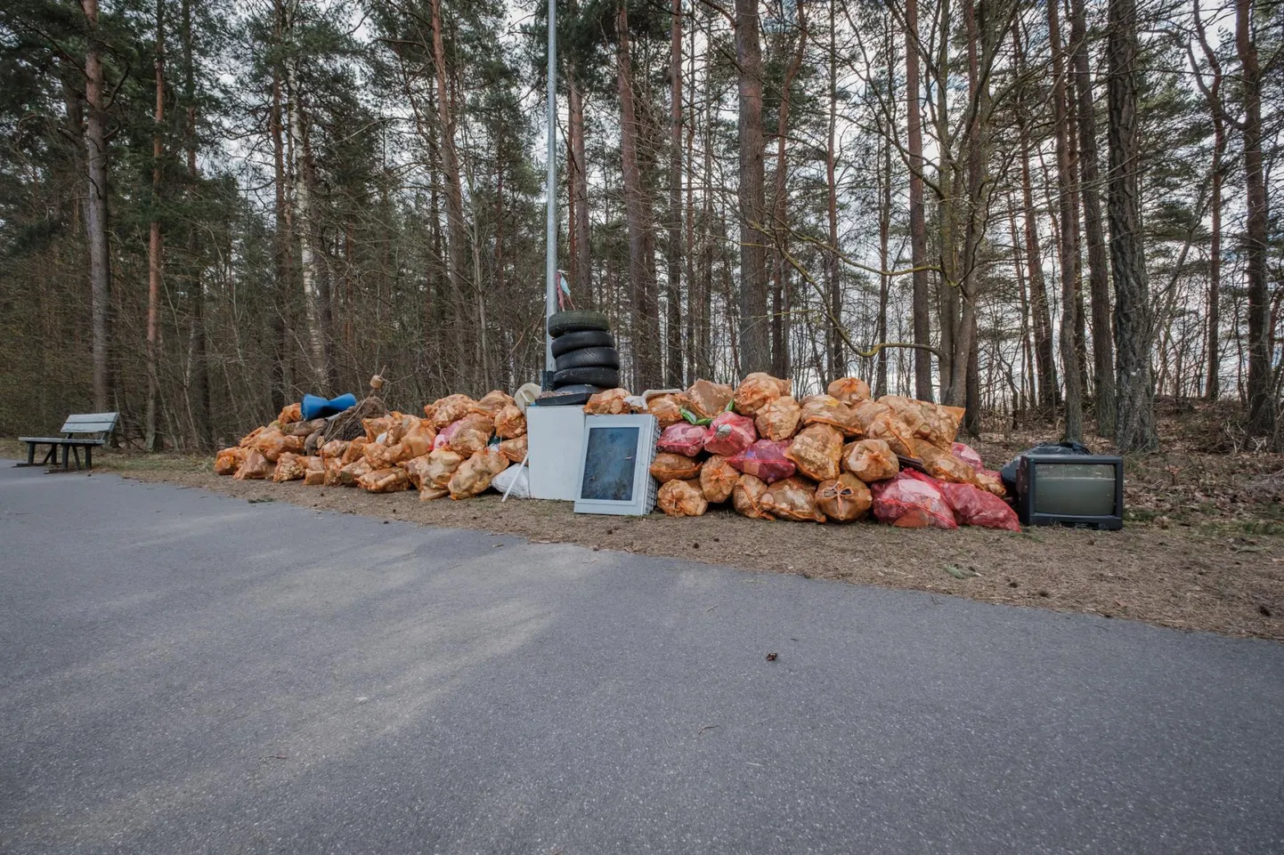 Nädala­vahetusel korjatud prügi Papiniidu silla lähedalt, sellele tuli järgnevatel päevadel lisagi.