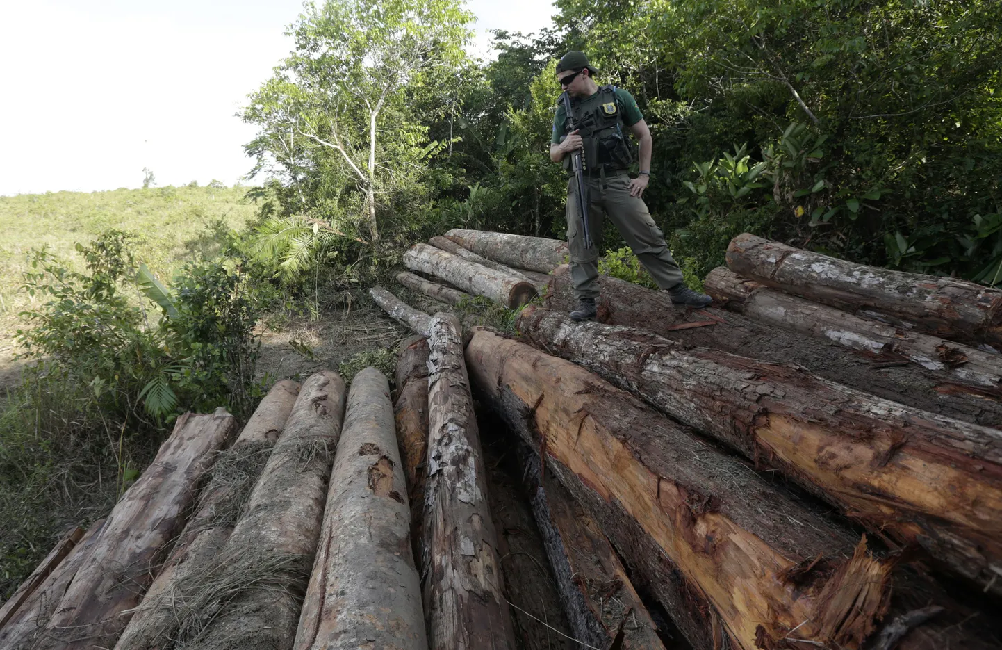 Ebaseaduslik raie Brasiilias Amazonases