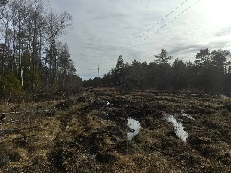Внедорожники въехали на этот участок незаконно.