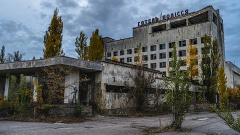 Tšornobõli hundid: elu kiirgustoonis on neid geneetiliselt muutnud – kas nende immuunsüsteem tuleb nüüd toime ka vähiga?