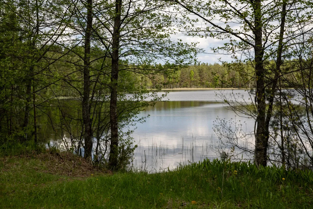 Valgejärve äärde, kus praegu on Kurtna maastikukaitseala, pidi tulema 24 000 elanikuga linn.