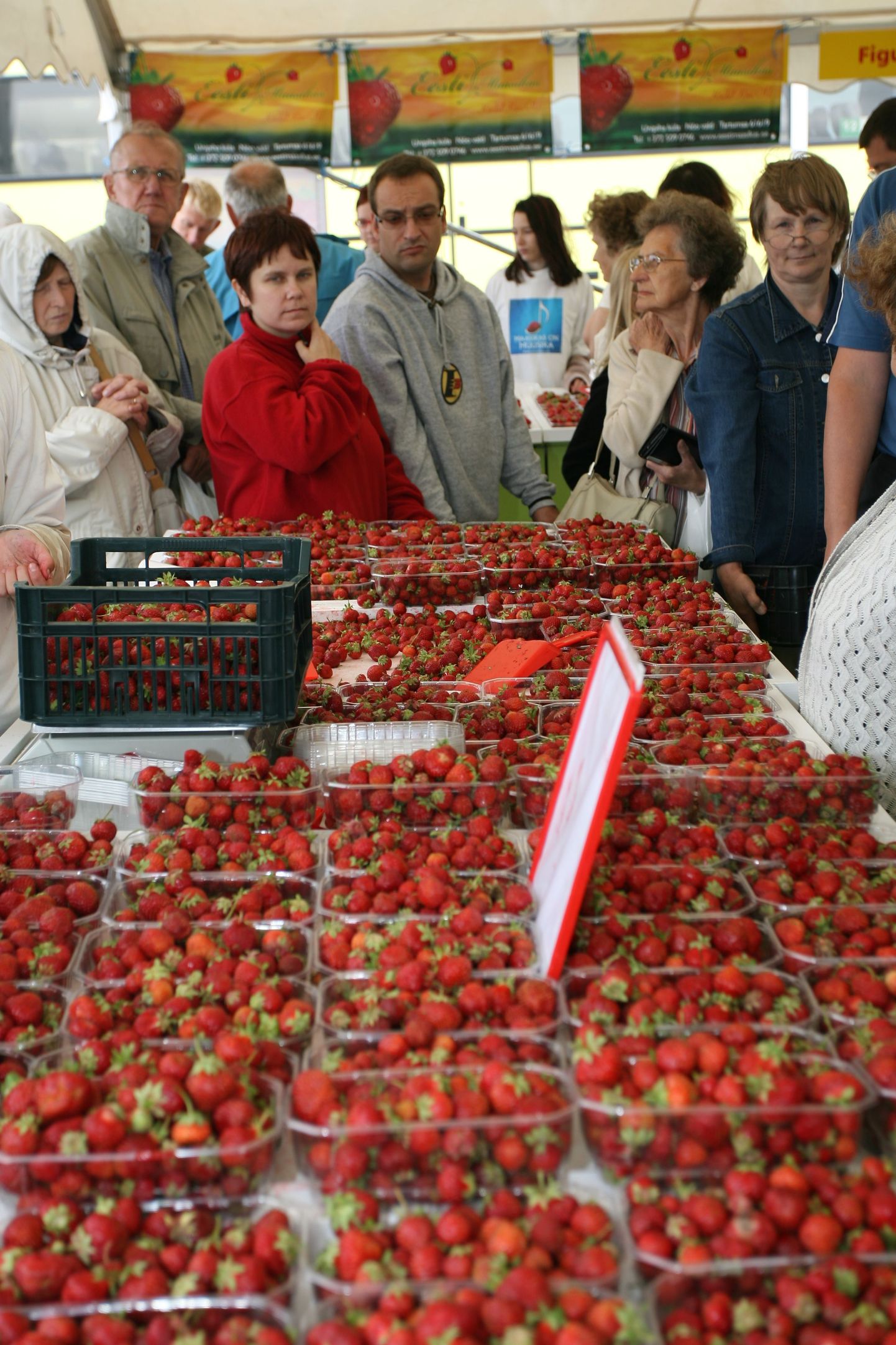 Maasikafestival 2007
