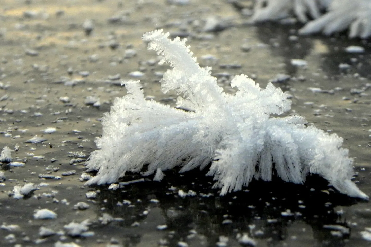 Kristalliline härmatis Viljandi järve jääl 2. detsembril.