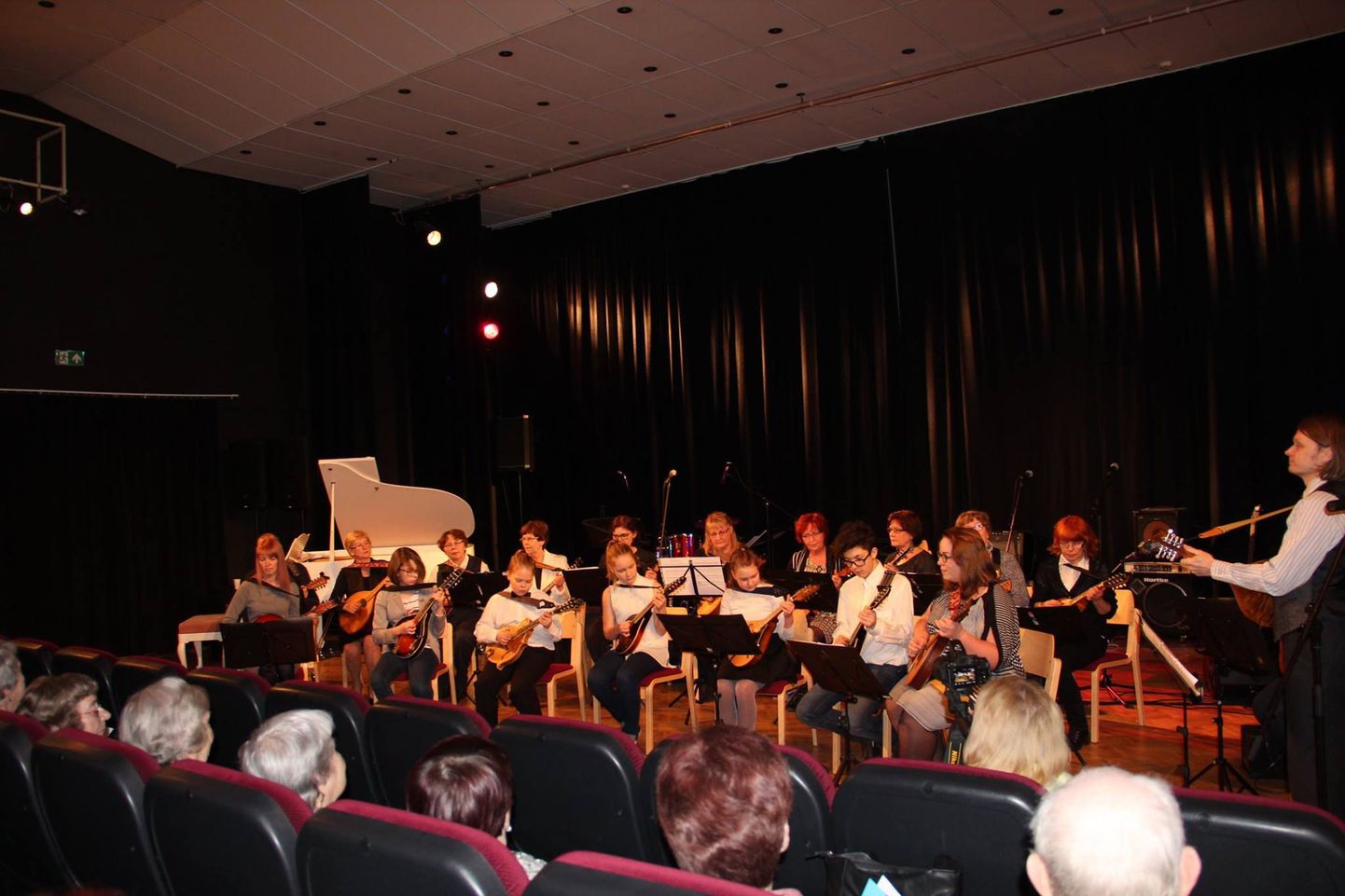 Heategevuskontserdil astus üles ka Tapa Valla Mandoliiniorkester.