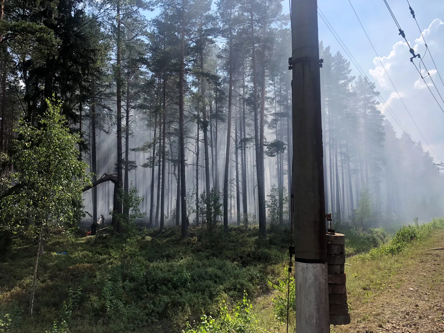 Лесной пожар.