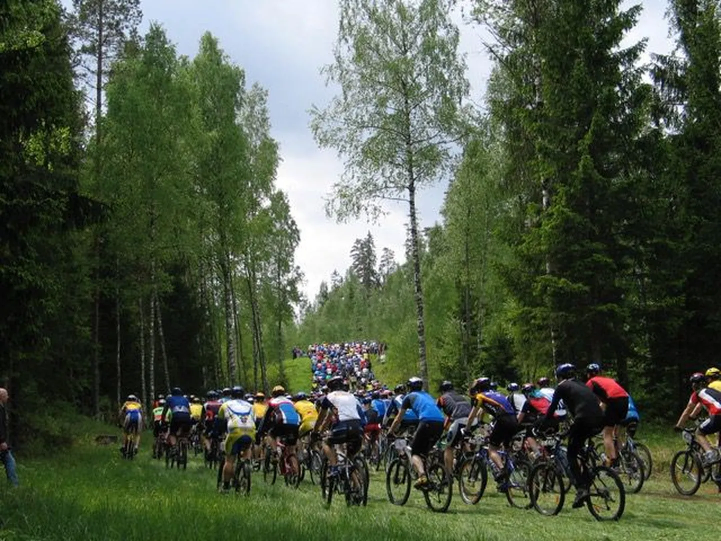 Tallinna Rattamaraton.