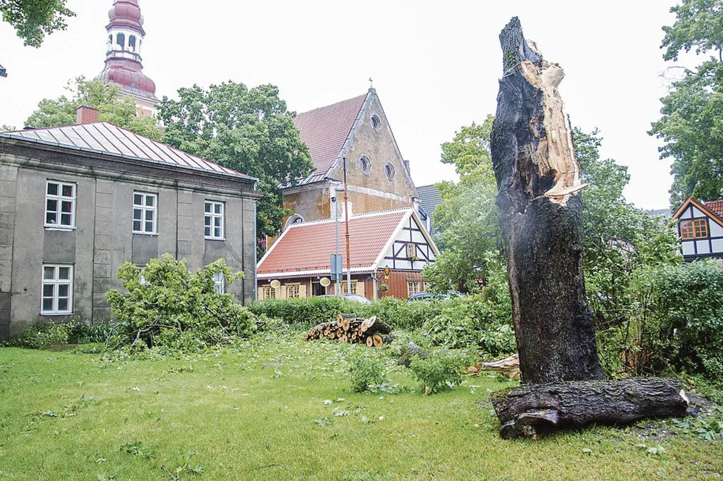 Pärnus tuuseldanud juunikuine torm murdis katki Nikolai tänava äärde jäävas hoovis kasvanud puu. Sarnaseid vaatepilte võis näha mujalgi.