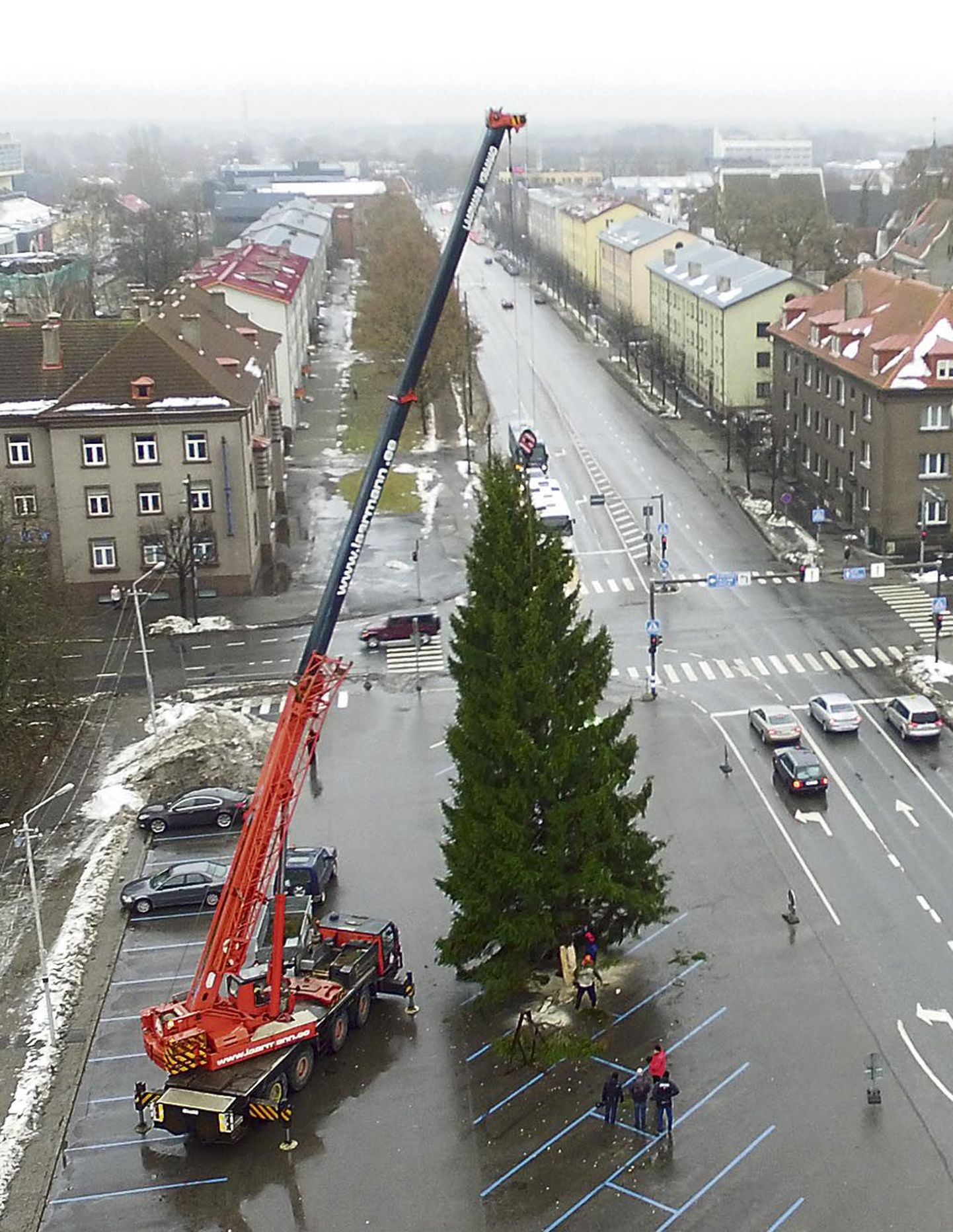 Pärast umbes kuuetunnist tihedat tööpäeva seisis tänavune Pärnu jõulupuu uhkelt linnasüdames.