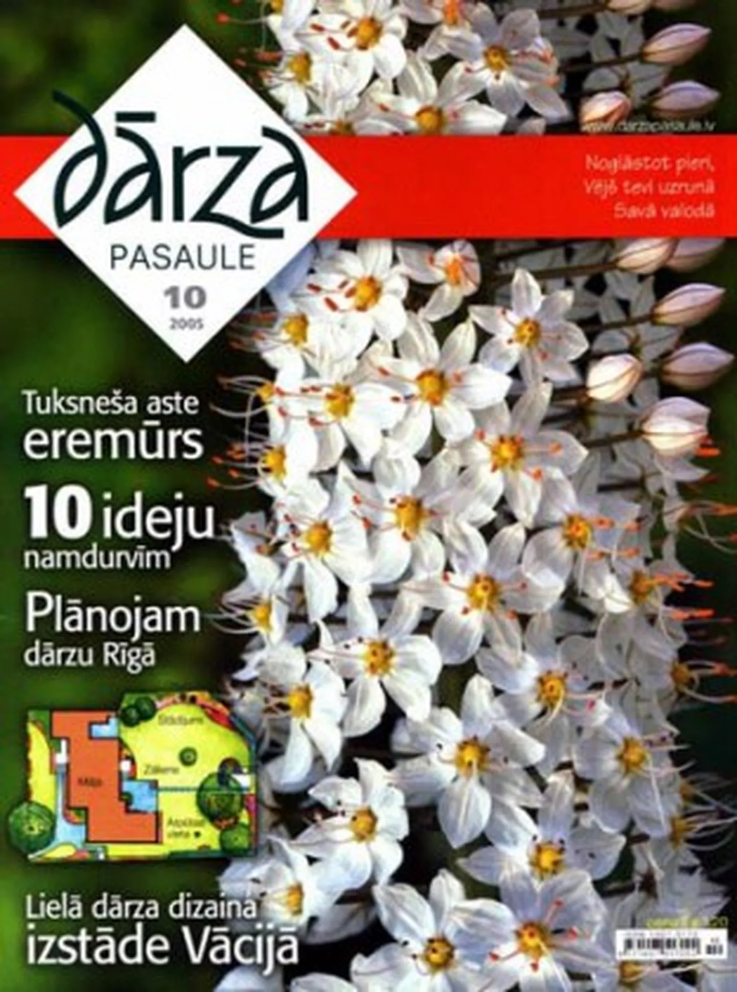 Raksta foto