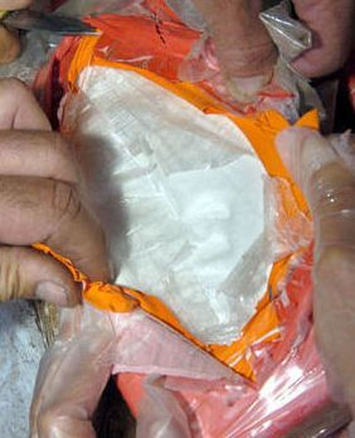 Boliivias leiti raseda norralanna maost kokaiini