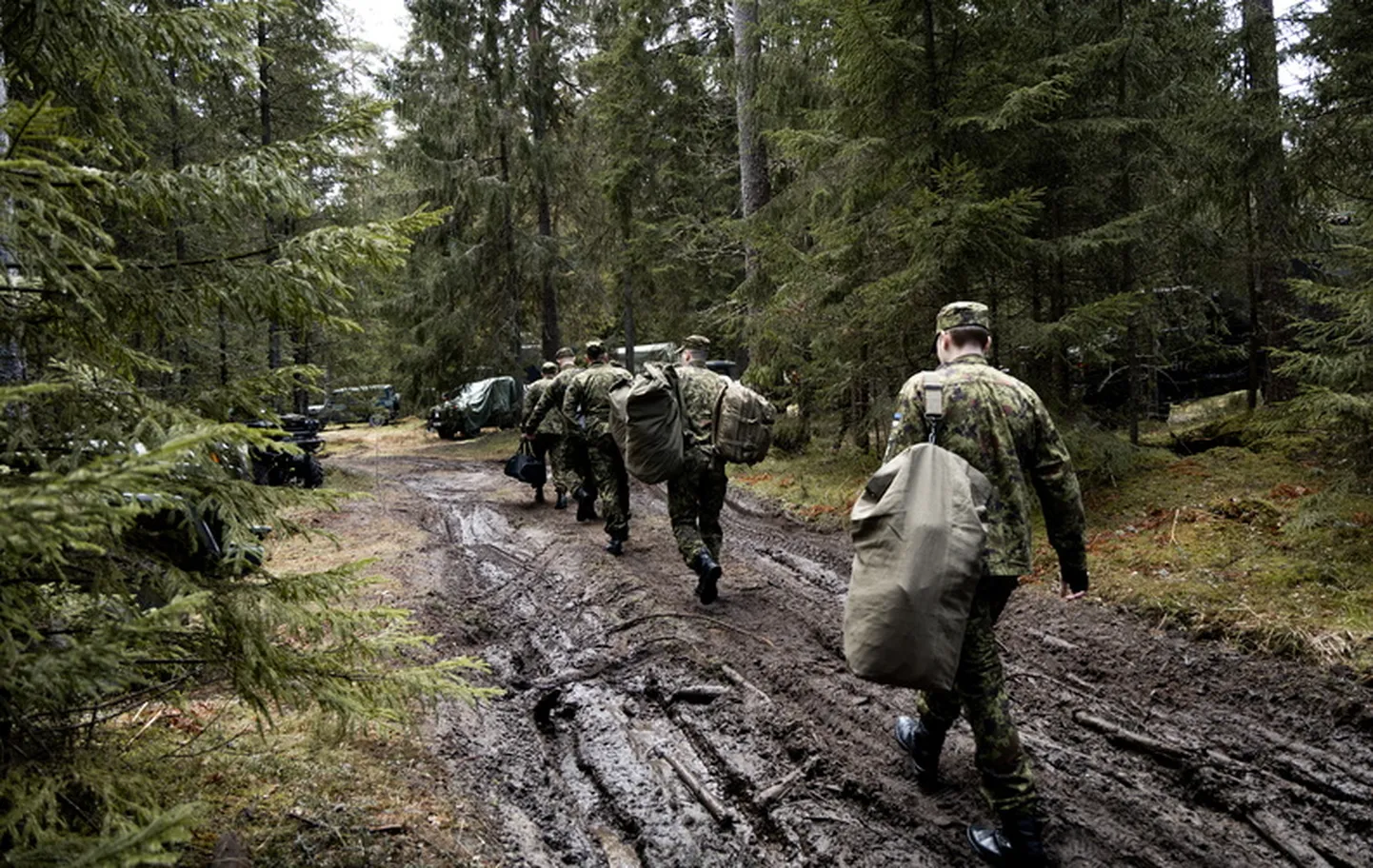 Reservväelased õhutõrjepataljonist ja suurtükiväepataljonist liitusid õppusega Siil 2025.
