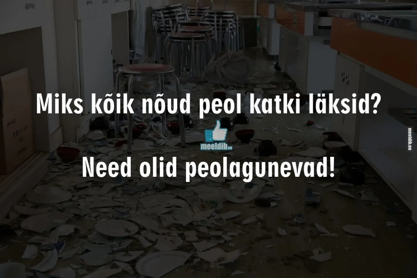 Artikli foto