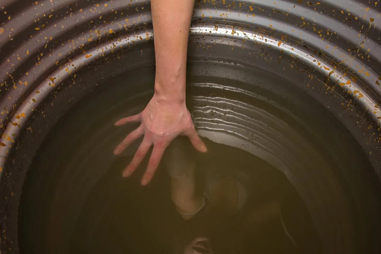 «Pelléas & Mélisande» on tavatu etendus, mis pakub elamust tervele kehale.