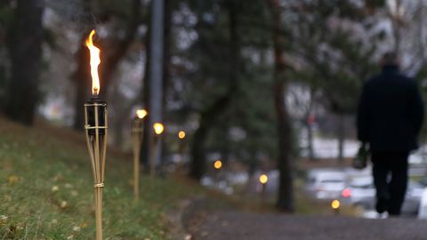 В Риге День Лачплесиса отметят памятными мероприятиями и концертами