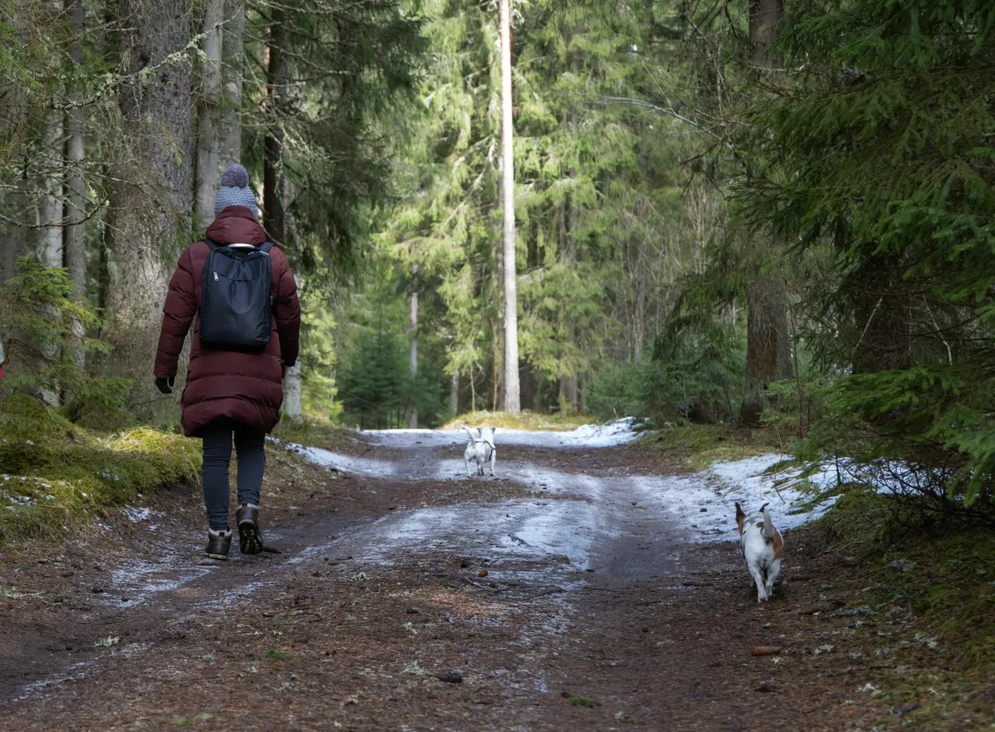 Esimest korda matkati sel 12,2 kilomeetri pikkusel teel, mida mööda Jakobson Kurgja talust Vanaõuele käis, et sealt postitõllaga Viljandisse Sakala toimetusse sõita, 1961. aasta märtsis.