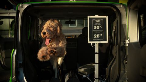 Kas teie koer saaks autos kuumarabanduse? Soome robotkoer annab vastuse