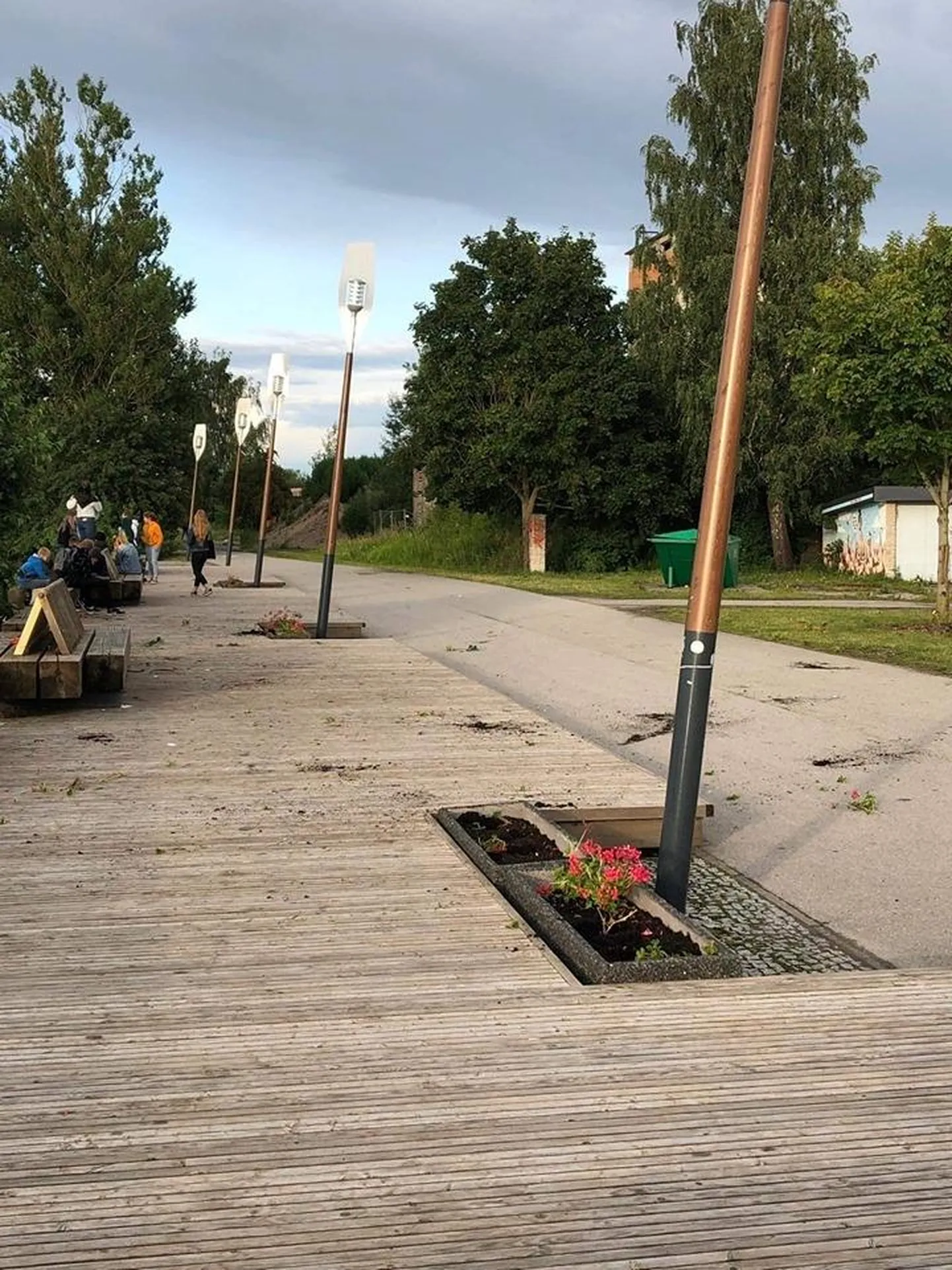 Lillekastidest välja rebitud taimed ja muld kõnniteel.
