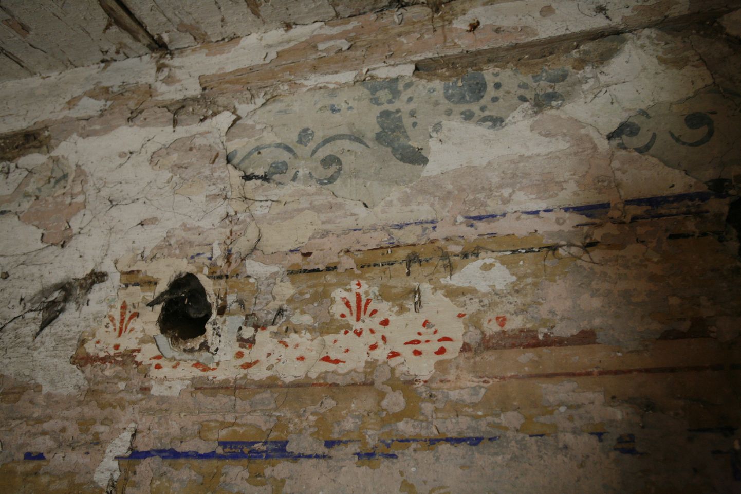 Need Rakvere vanalinna majast renoveerimise käigus leitud seinamaalingud ootavad muinsuskaitseameti spetsialiste, kes tulevad joonistusi lõplikult välja puhastama.