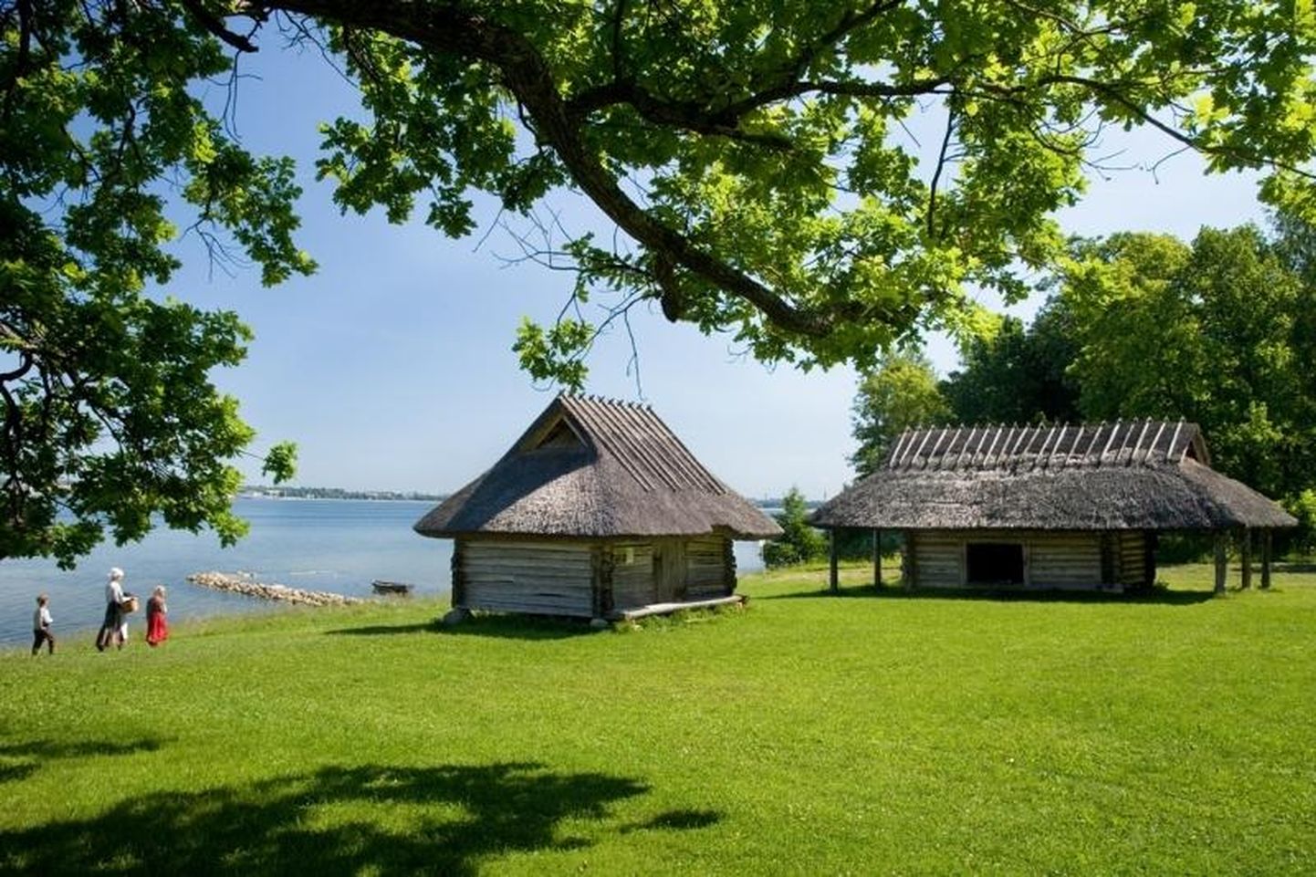 Õppekäikudel külastatakse muuseume, kino-, teatri- või kontsertetendusi, käiakse ekskursioonidel erinevates Eesti paikades või loodusmatkadel.