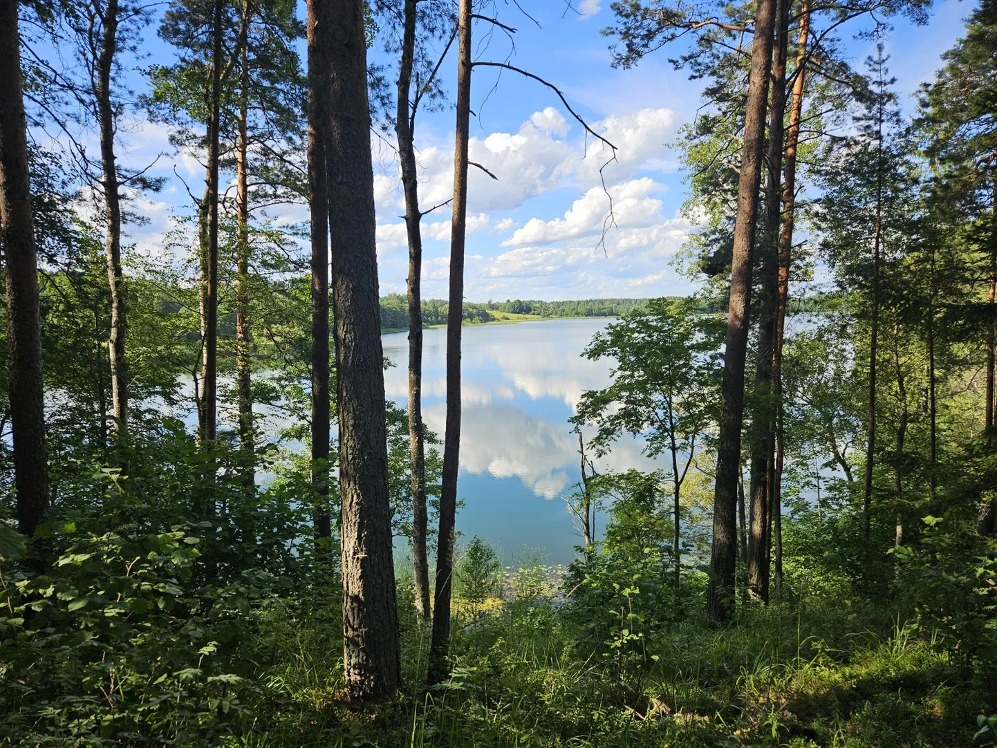 Raksta foto