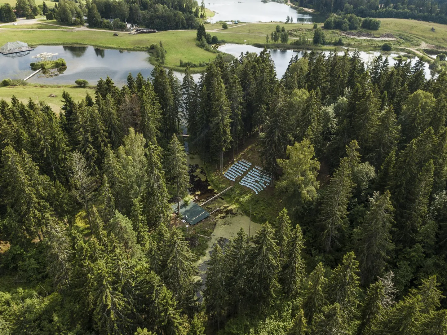 Leigo talu maalilised vaated ja uus metsalava õhust vaadatuna.