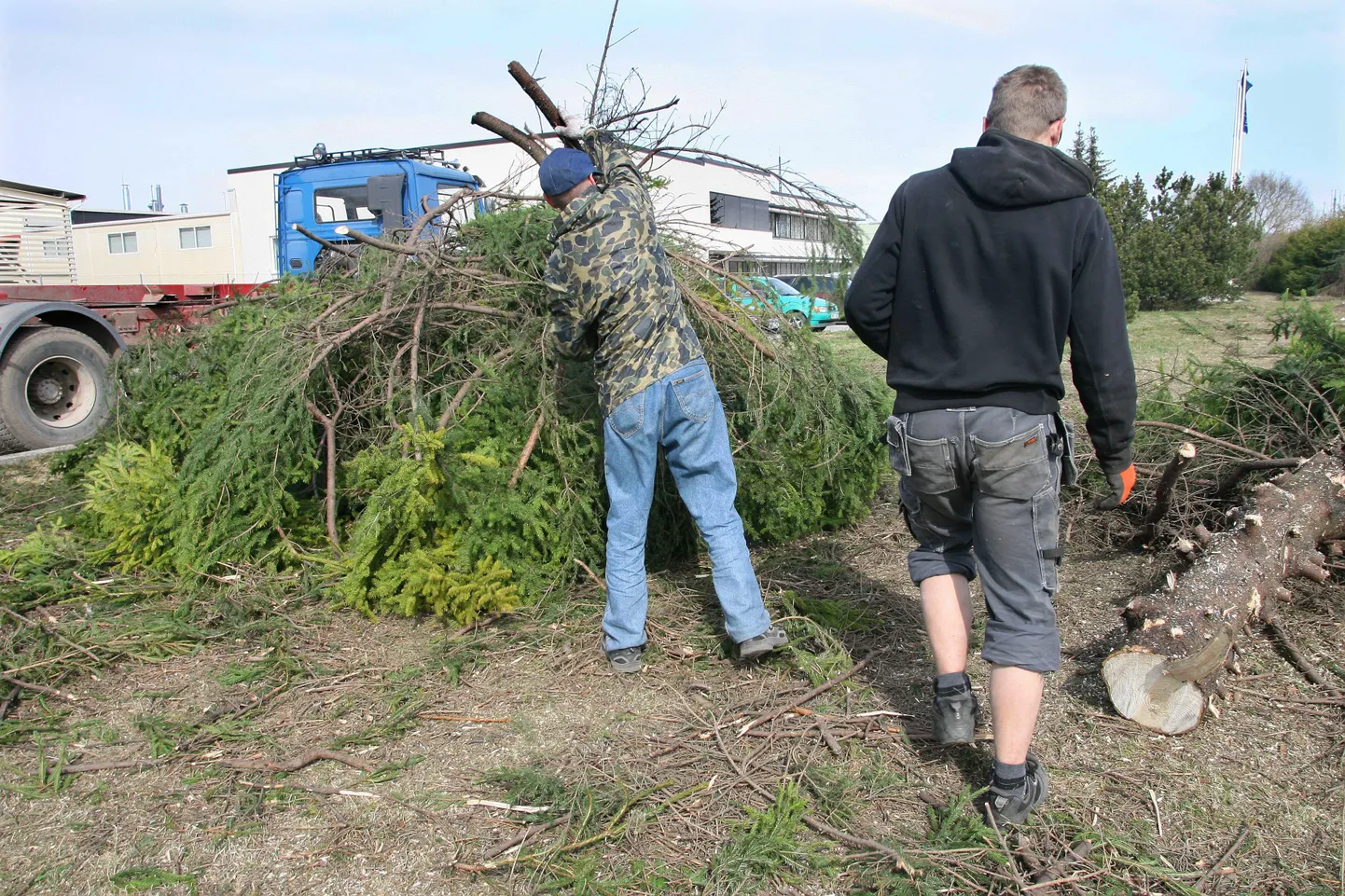 Üldkasuliku töö tegijate arv on viimastel aastatel vähenenud. Pildil karistuse kandjad Viljandis koristustöödel.