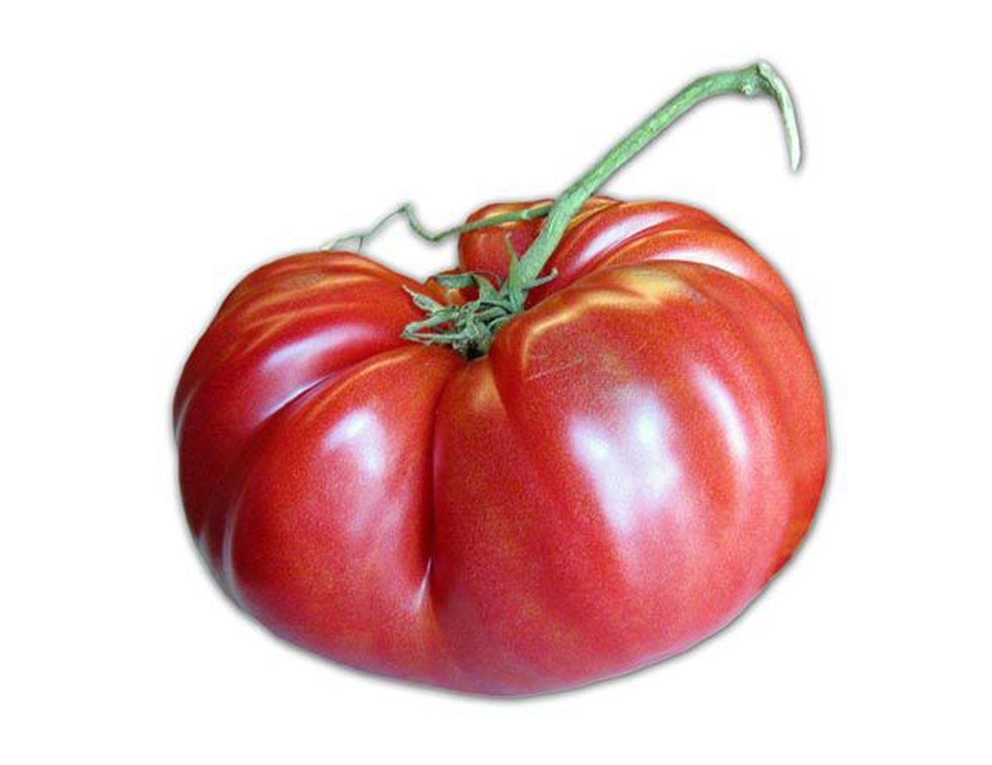 Tomat on oma vähkiennetavate omaduste poolest kõrgelt tunnustatud.