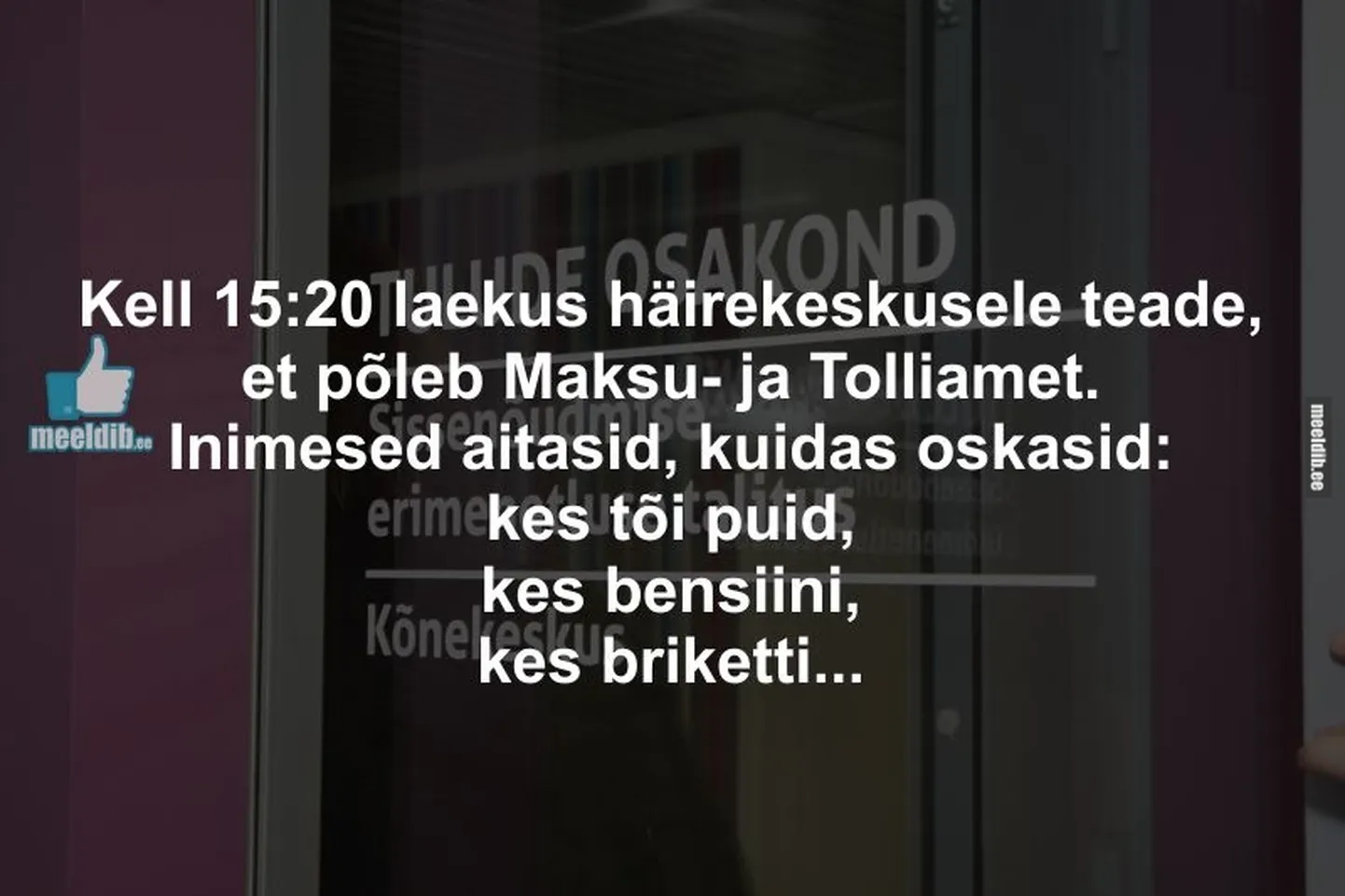 Artikli foto