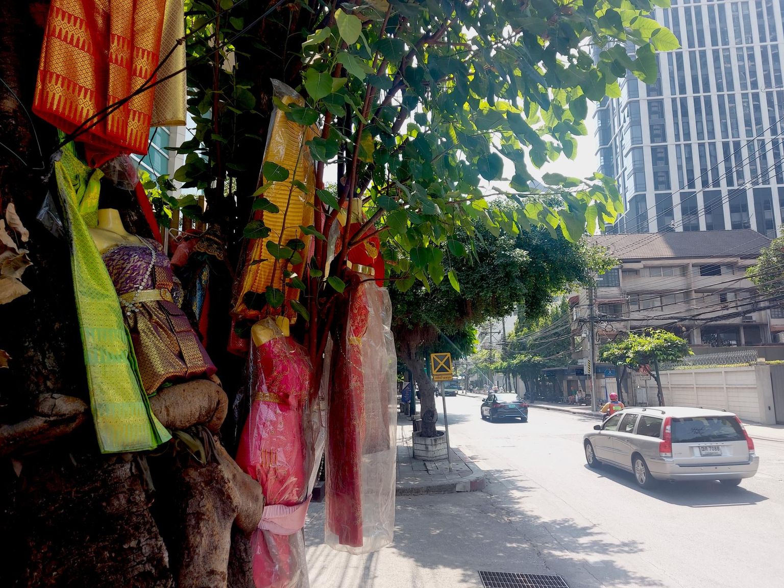 Kleite täis puu Bangkokis: kohalikud elanikud usuvad, et okste vahel elab naisvaim, ning kui puu juures esitatud palved täituvad, toovad inimesed vaimule tänutäheks värvikirevaid rõivaid.