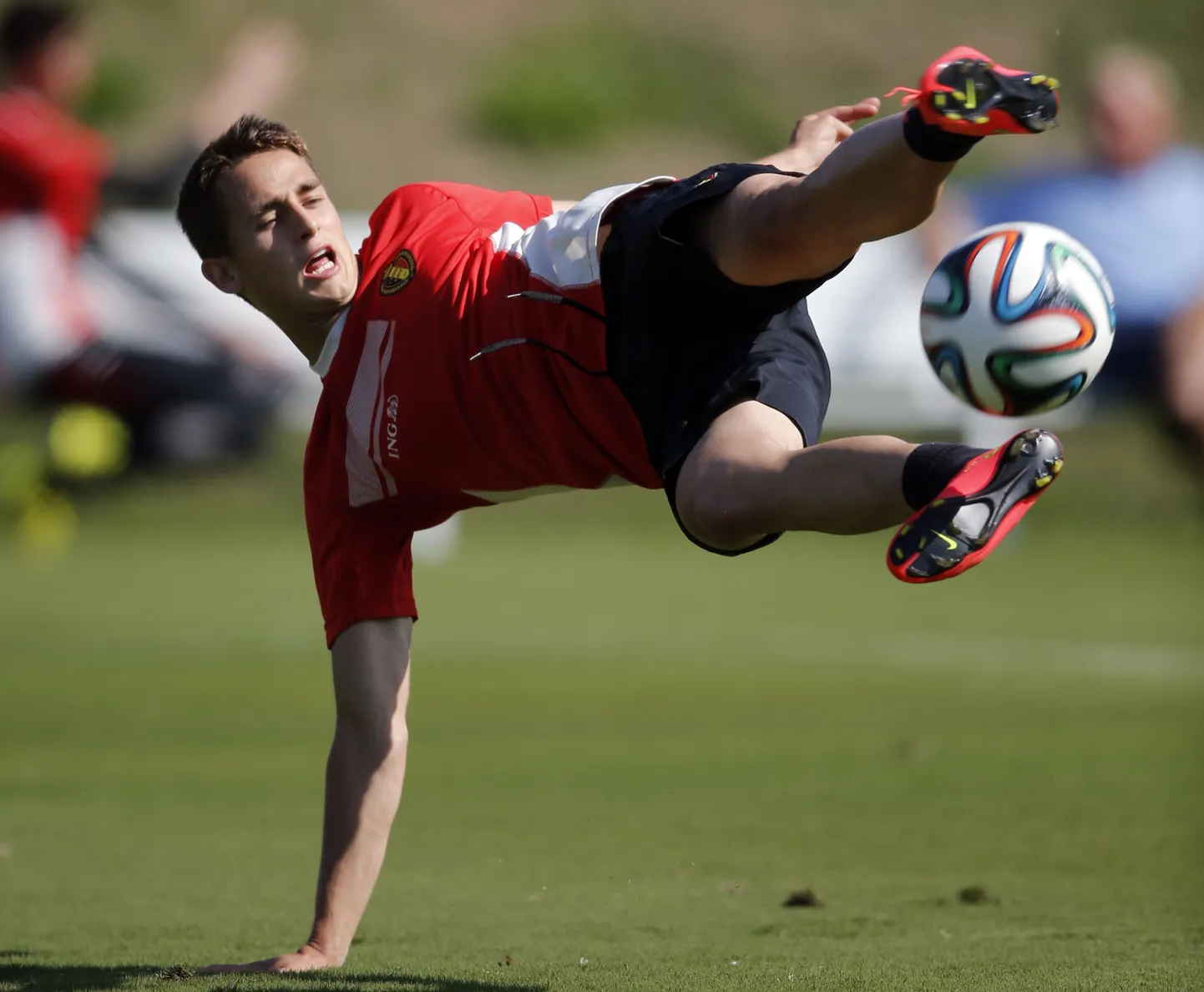 Adnan Januzaj