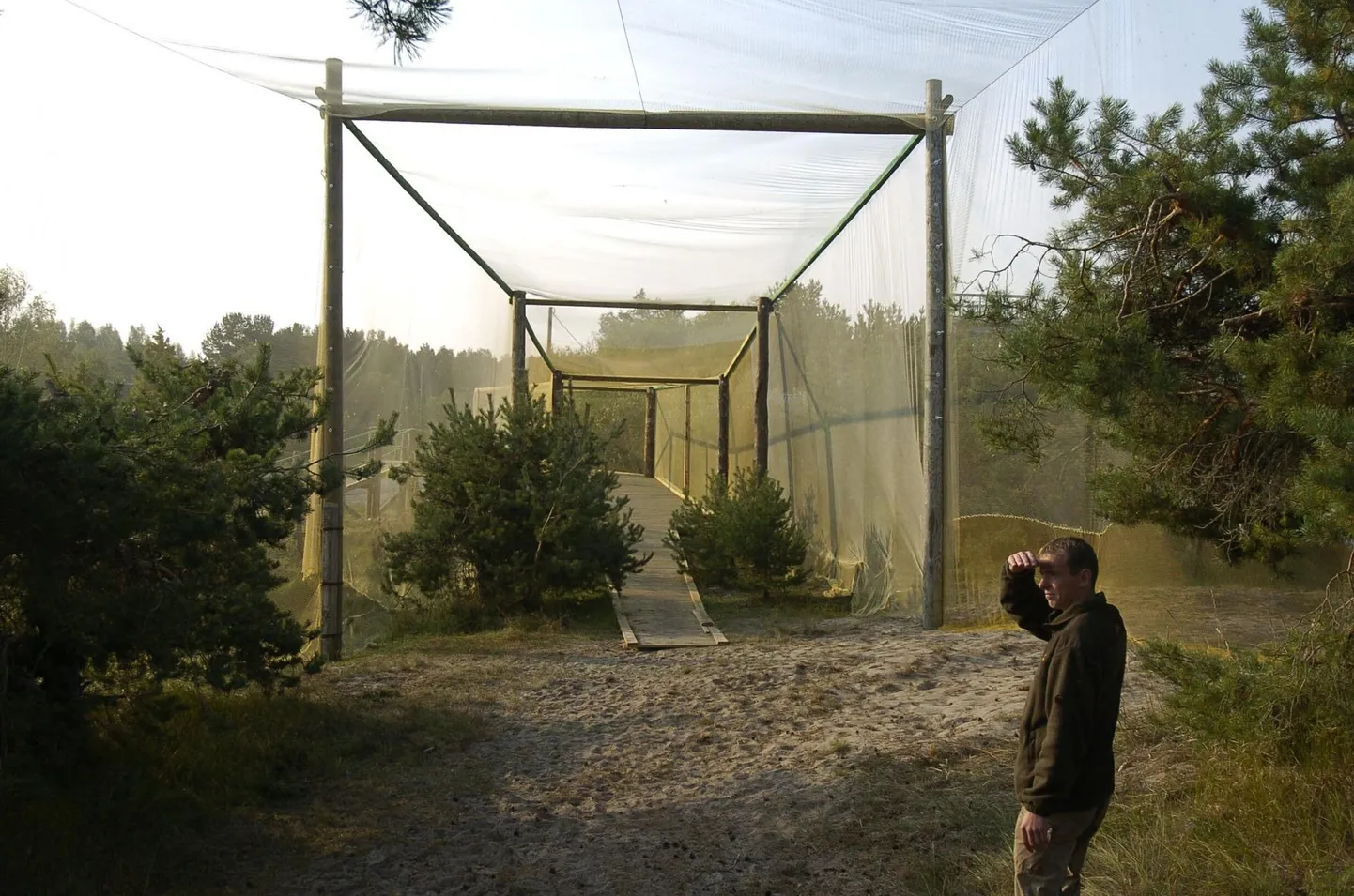 Kabli linnujaamas algab lindude rõngastamine.