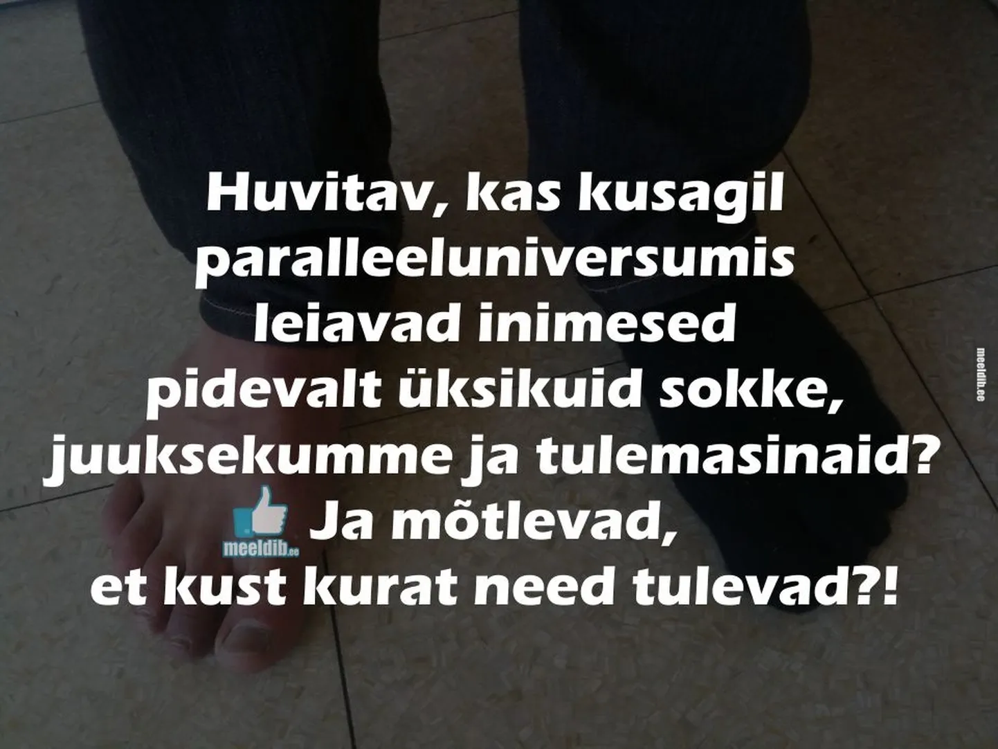 Artikli foto