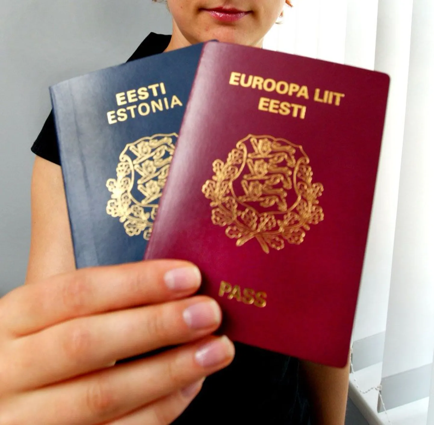 Eesti kodaniku pass on eelkõige reisidokument, mida kasutatakse riigipiiri ületamisel.