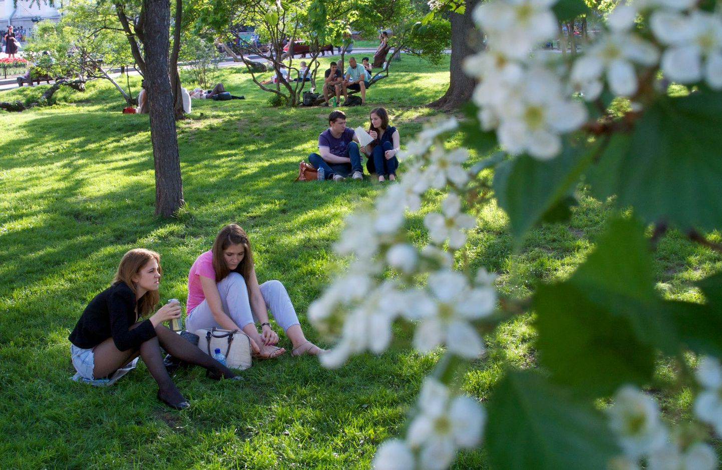 Inimesed naudivad päikeselist ja sooja päeva Kesk-Moskvas asuvas pargis.