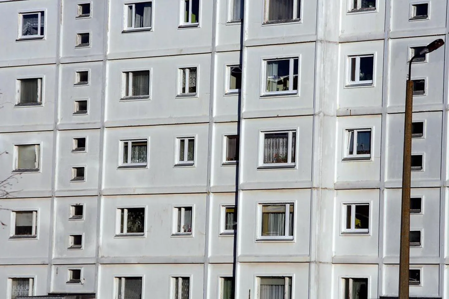 Фото статьи