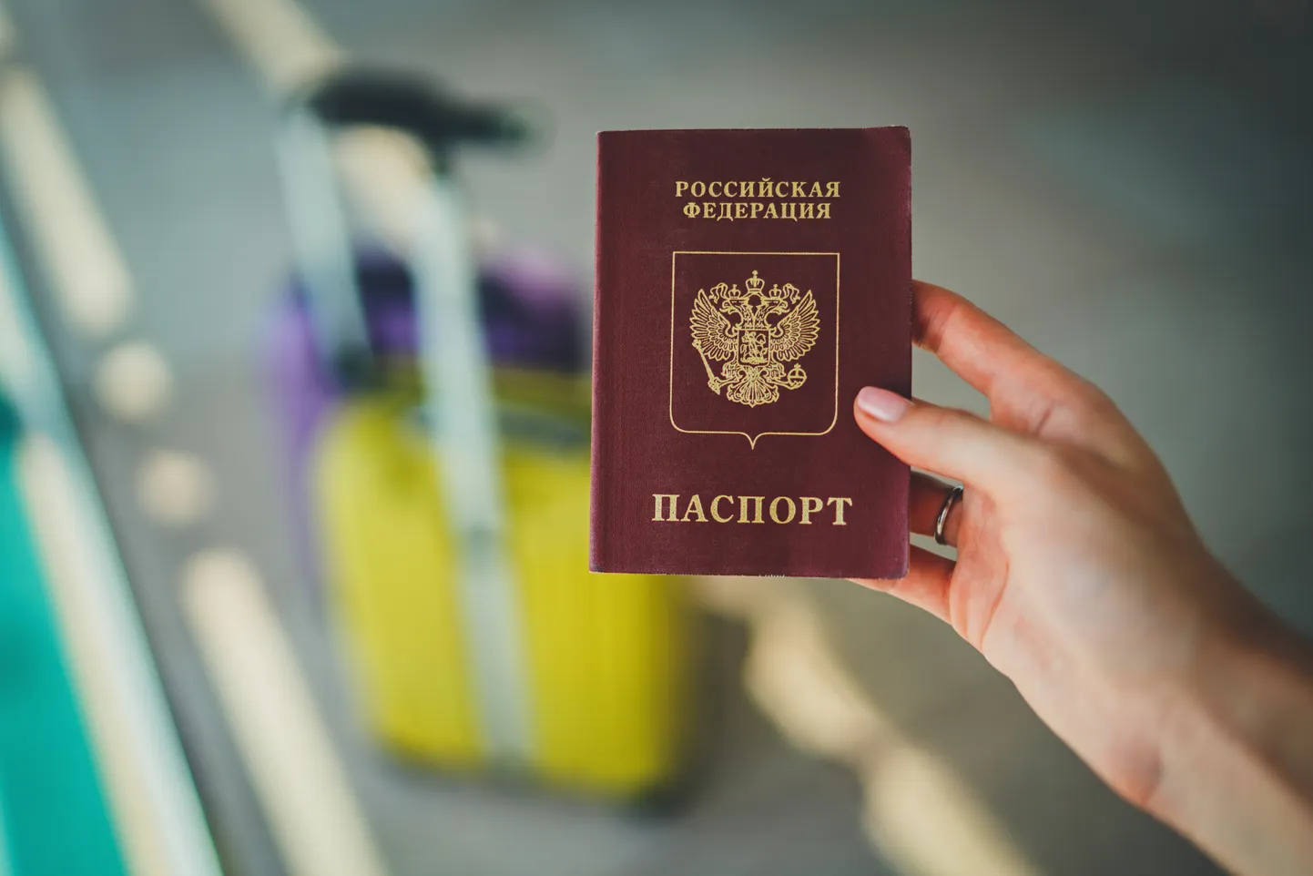 Фото статьи