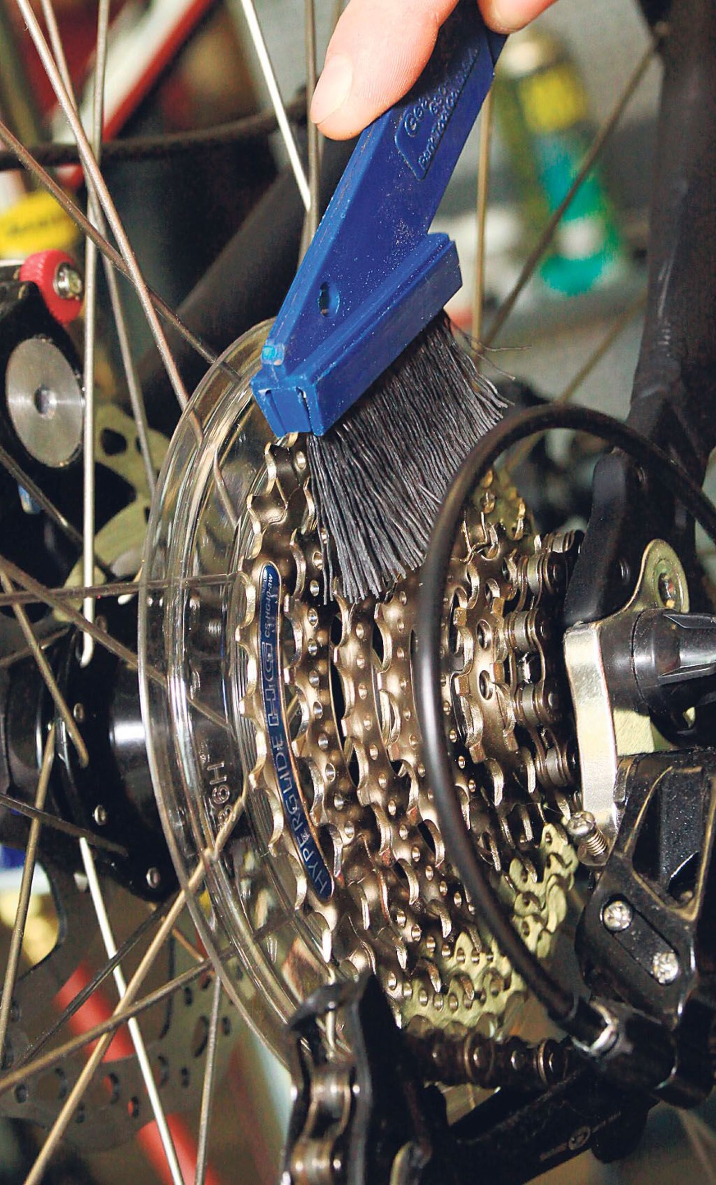 Talveks seisma jäetud ratas peaks olema puhas, kuid korra aastas vajab jalgratas professionaali tehtud täishooldust.