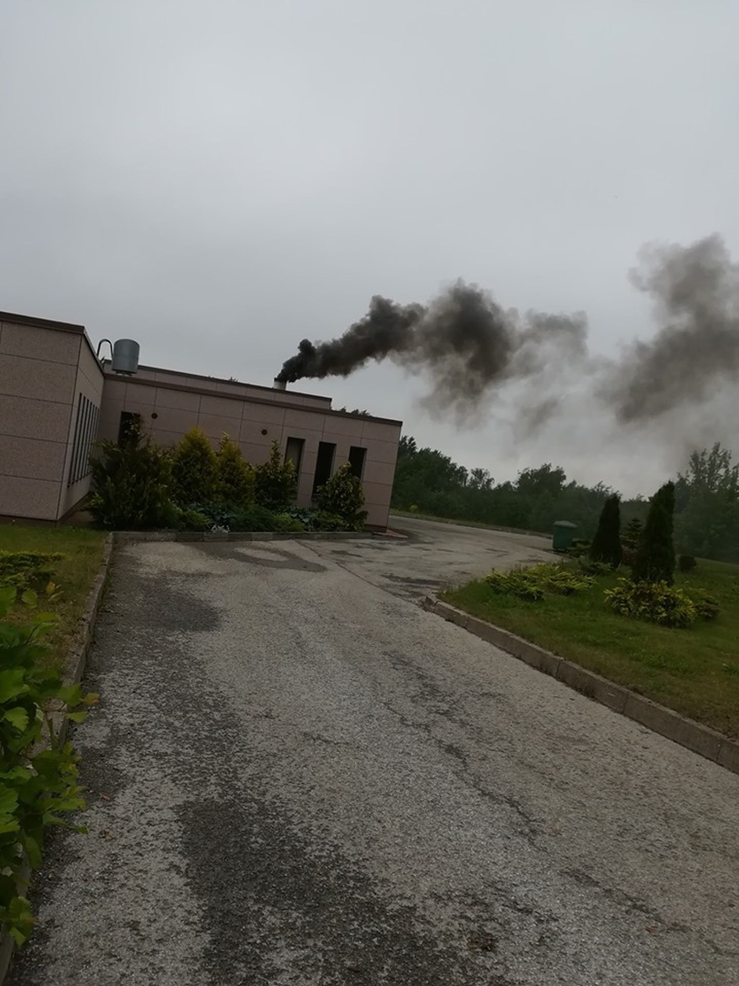 Такой дым валил из трубы Маардуского крематория в середине июня этого года.