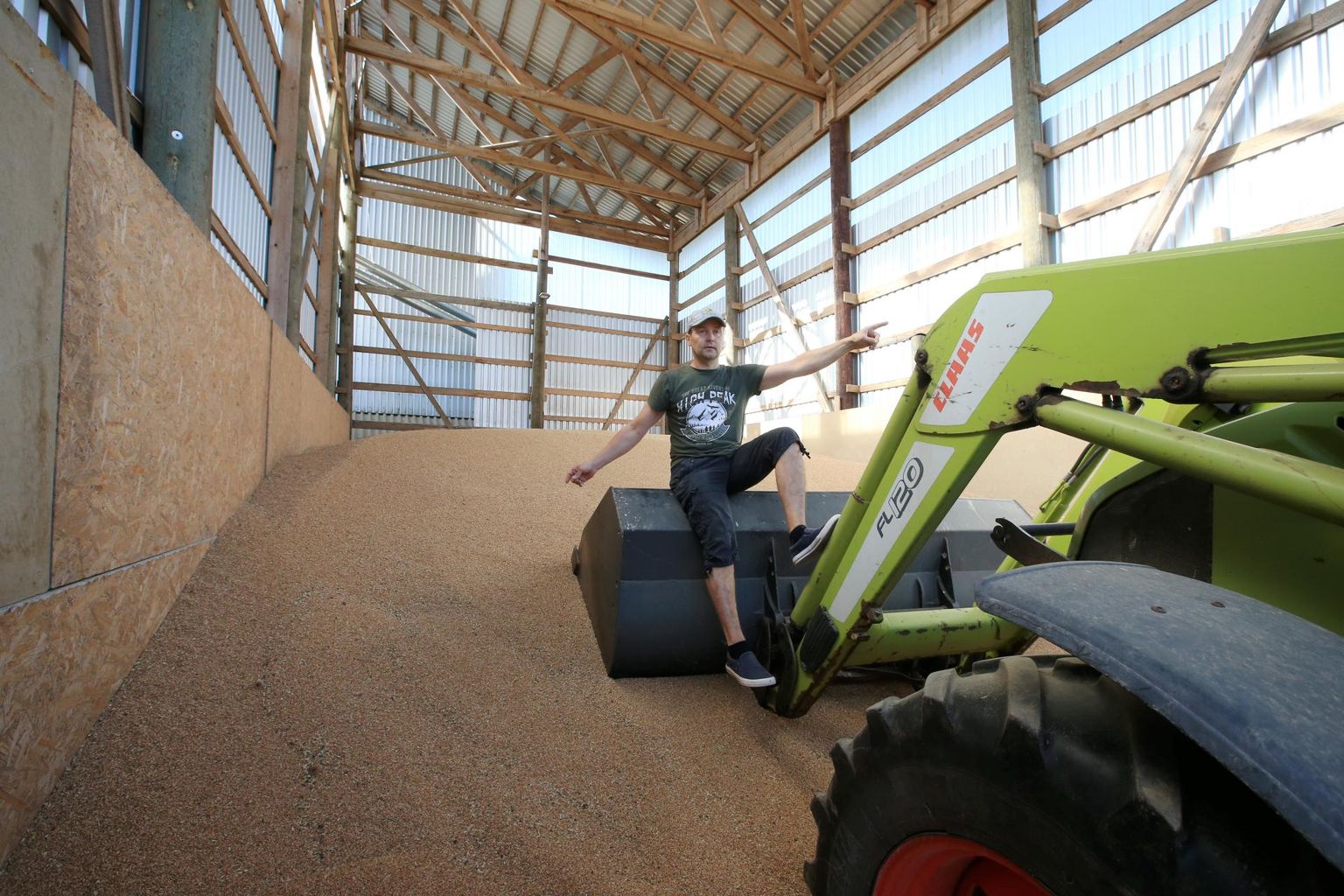 Sellesse kuhja on põllumees Kaido Kõiv traktoriga tõstnud 60 tonni nisu. 