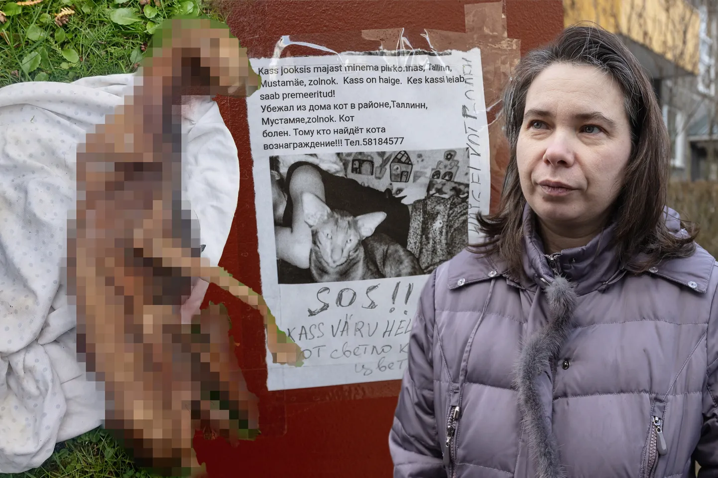 Алла Хокконен, хозяйка пропавшего кота