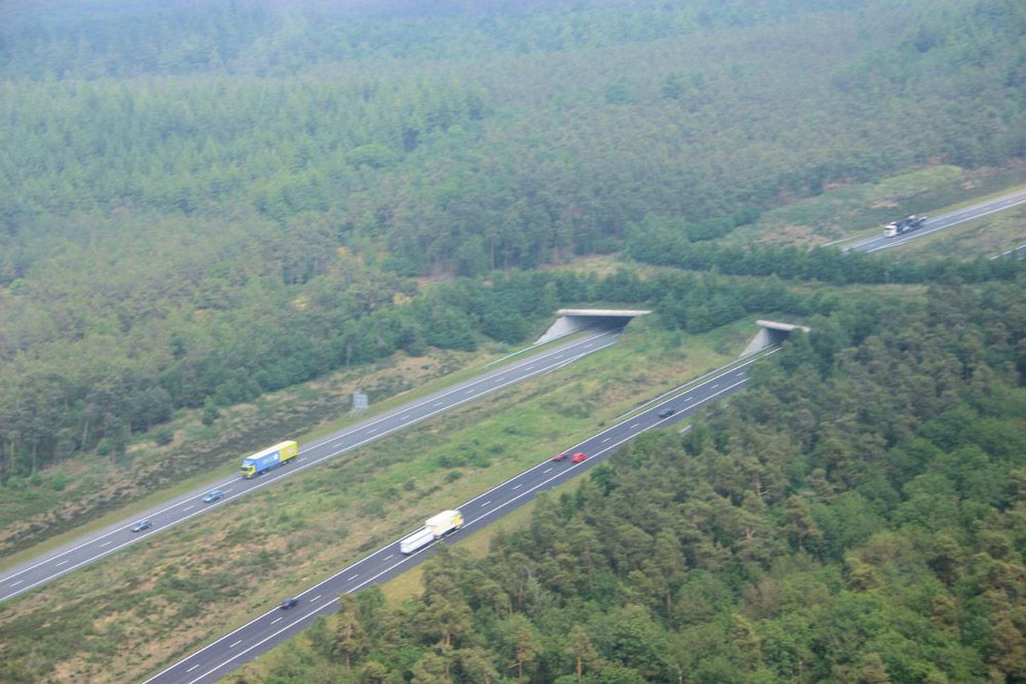 Mitmesse Lääne- ja Põhja-Euroopa riiki on maanteede kohale rajatud kuni saja meetri laiusi loomade sildu ehk ökodukte, mis on kaetud pinnase ja taimedega.