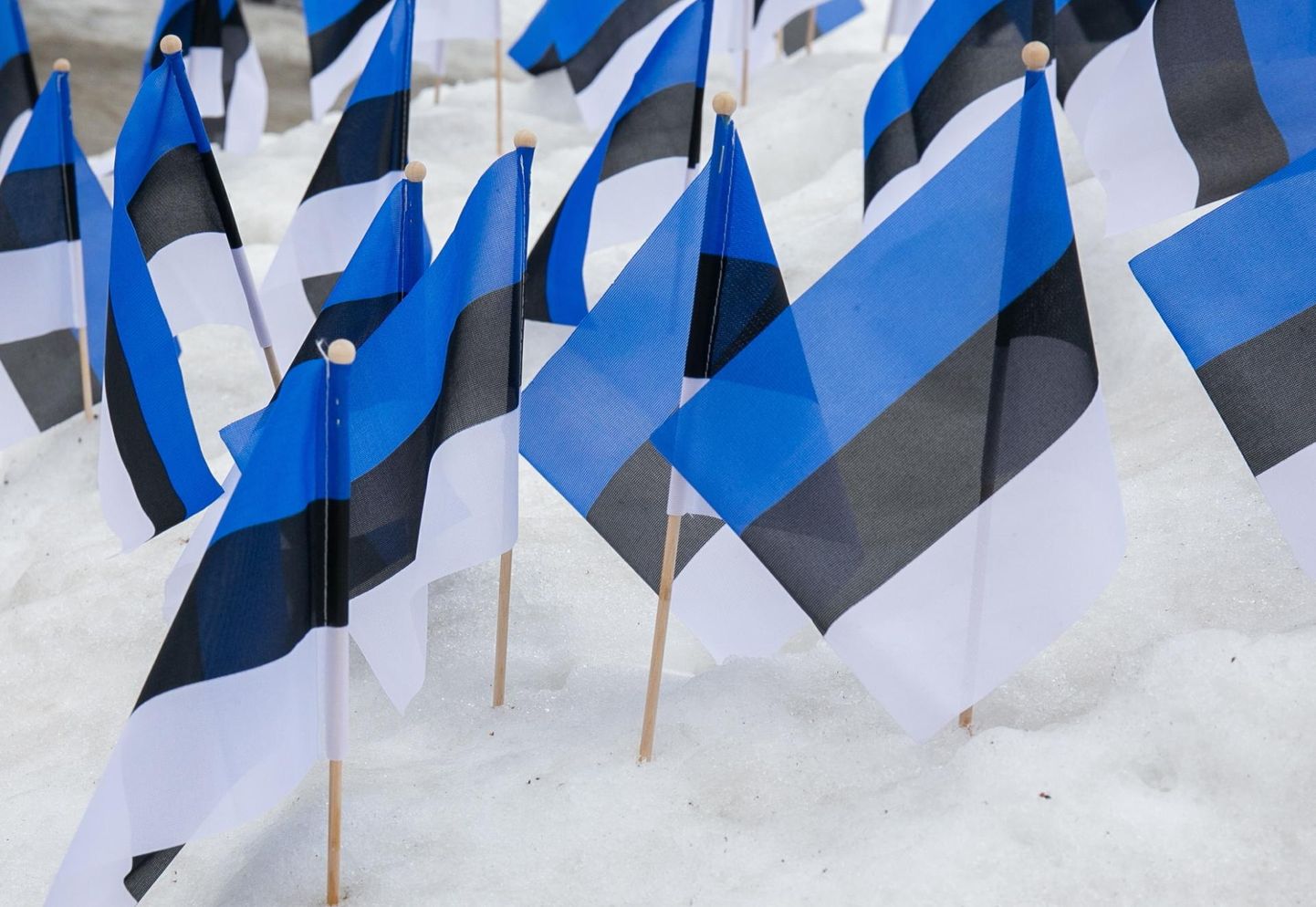 Eesti Vabariik tähistab 24. veebruaril 105. aastapäeva.