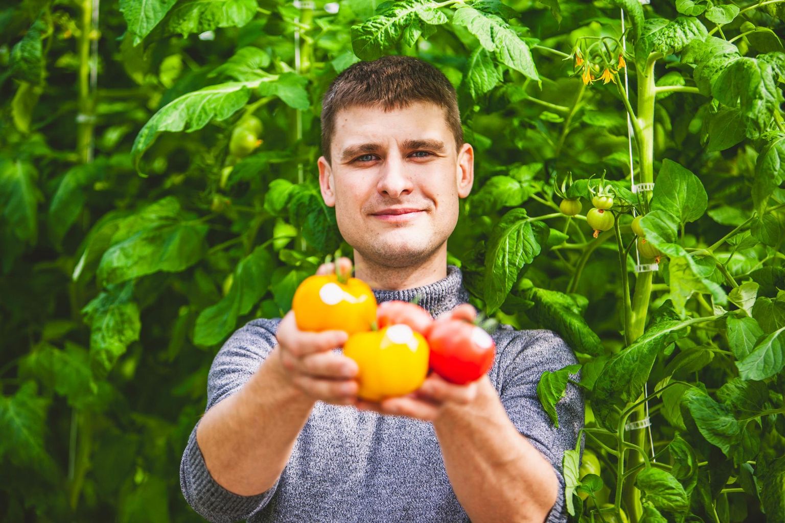 Võiste aiandis on Mirko Metsaoru kasutanud andmepõhist kasvatust juba kaks aastat ning kasvatanud saagikust pea 30protsenti aastas.