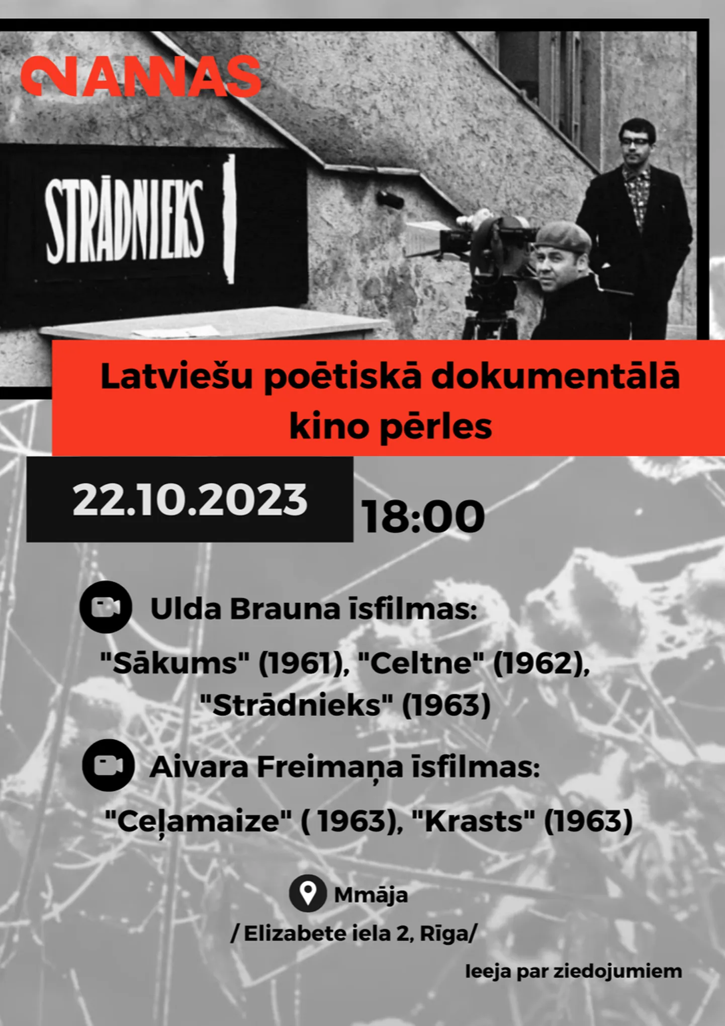 Raksta foto