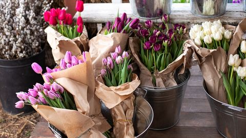 Lihtne nipp! Sedasi püsivad tulbid vaasis kaua värskena