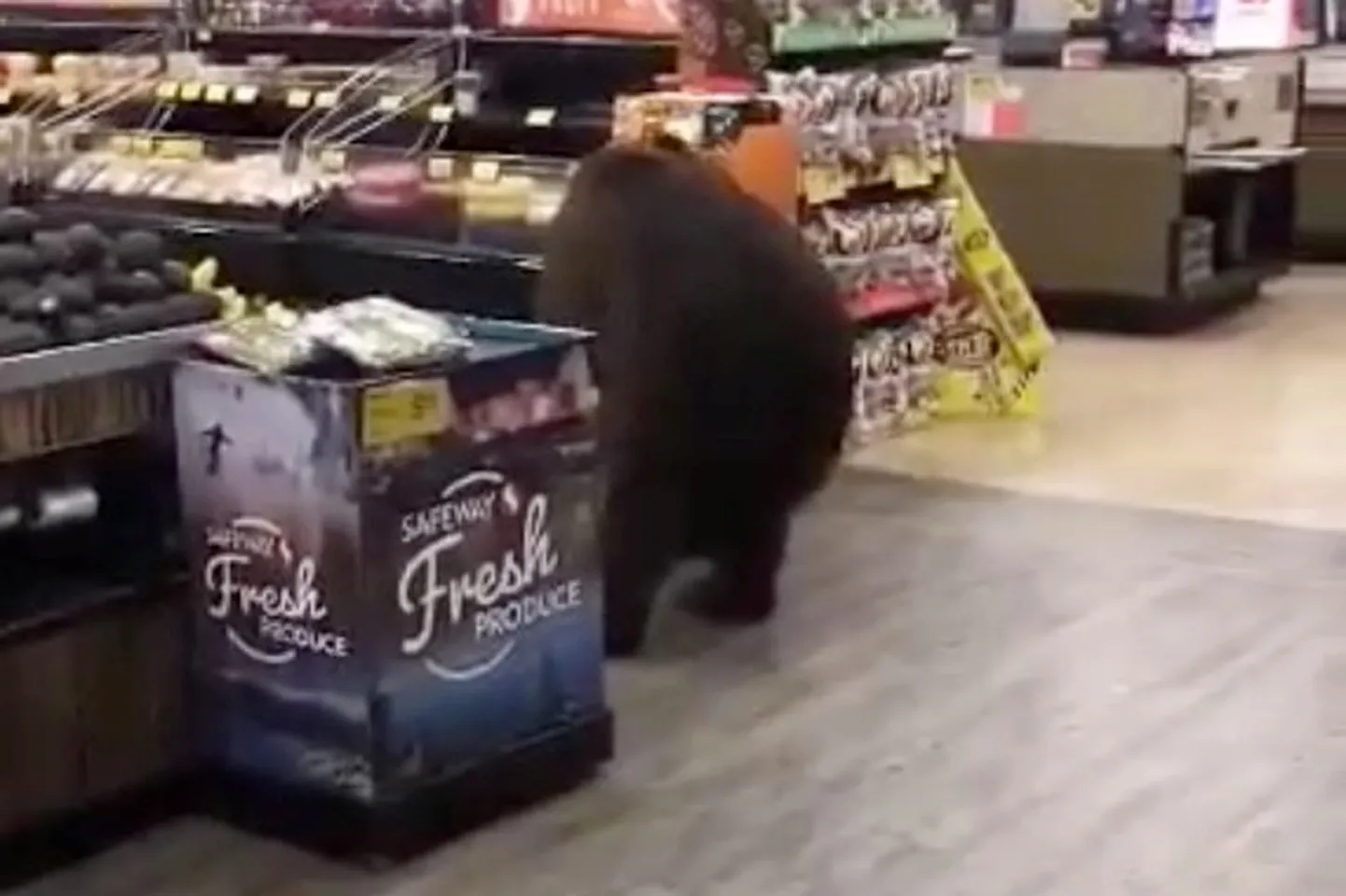 Karu supermarketis.