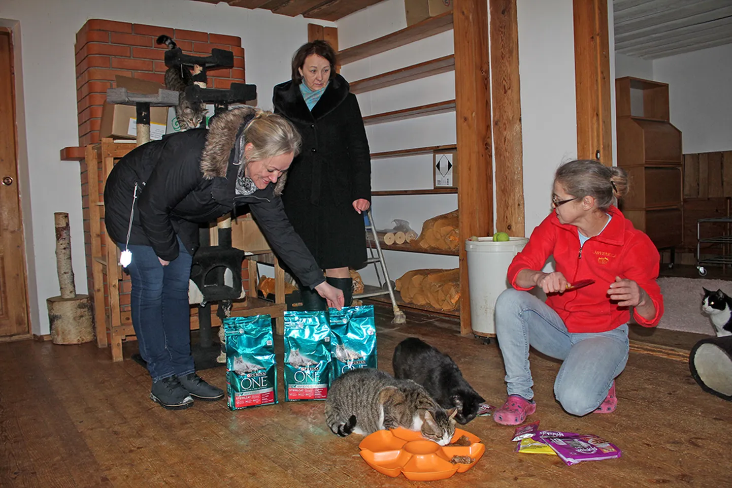 Marta Pagari esindajad Janeli Pikas (vasakul) ja Kersti Luisk (keskel) annavad Kassivarju eestvedajale Sirje Mihkelsonile üle kampaaniaga kogutud raha ja kassitoidu.