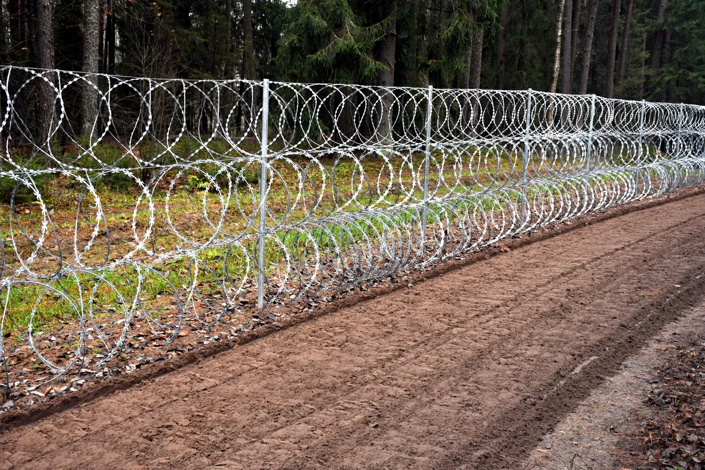 Забор из ключей проволоки на латвийско-белорусской границе